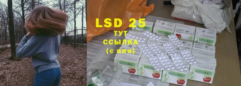 LSD-25 экстази ecstasy  как найти наркотики  Всеволожск 